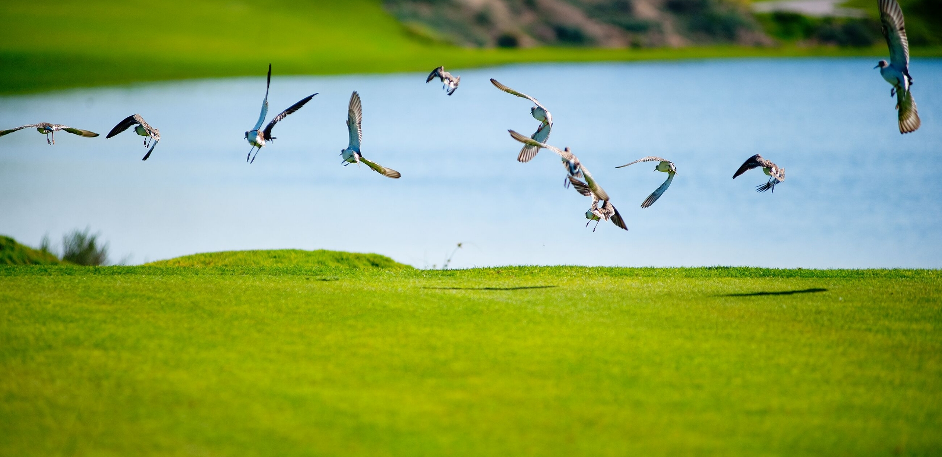 Al Mouj Golf Achieves Double Re-Certification in GEO and Audubon Standards, Highlighting International Eco-Leadership